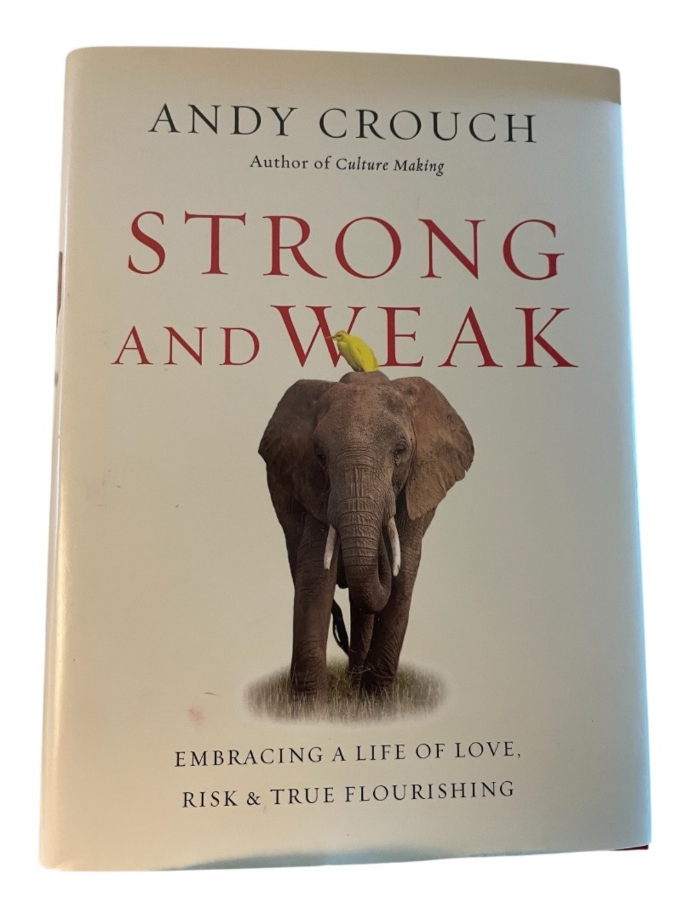Strong and Weak by Andy Crouch HC DJ Embracing a Life of Love